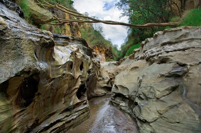 Narrow rocky gorge with a stream running through Hell's Gate National Park