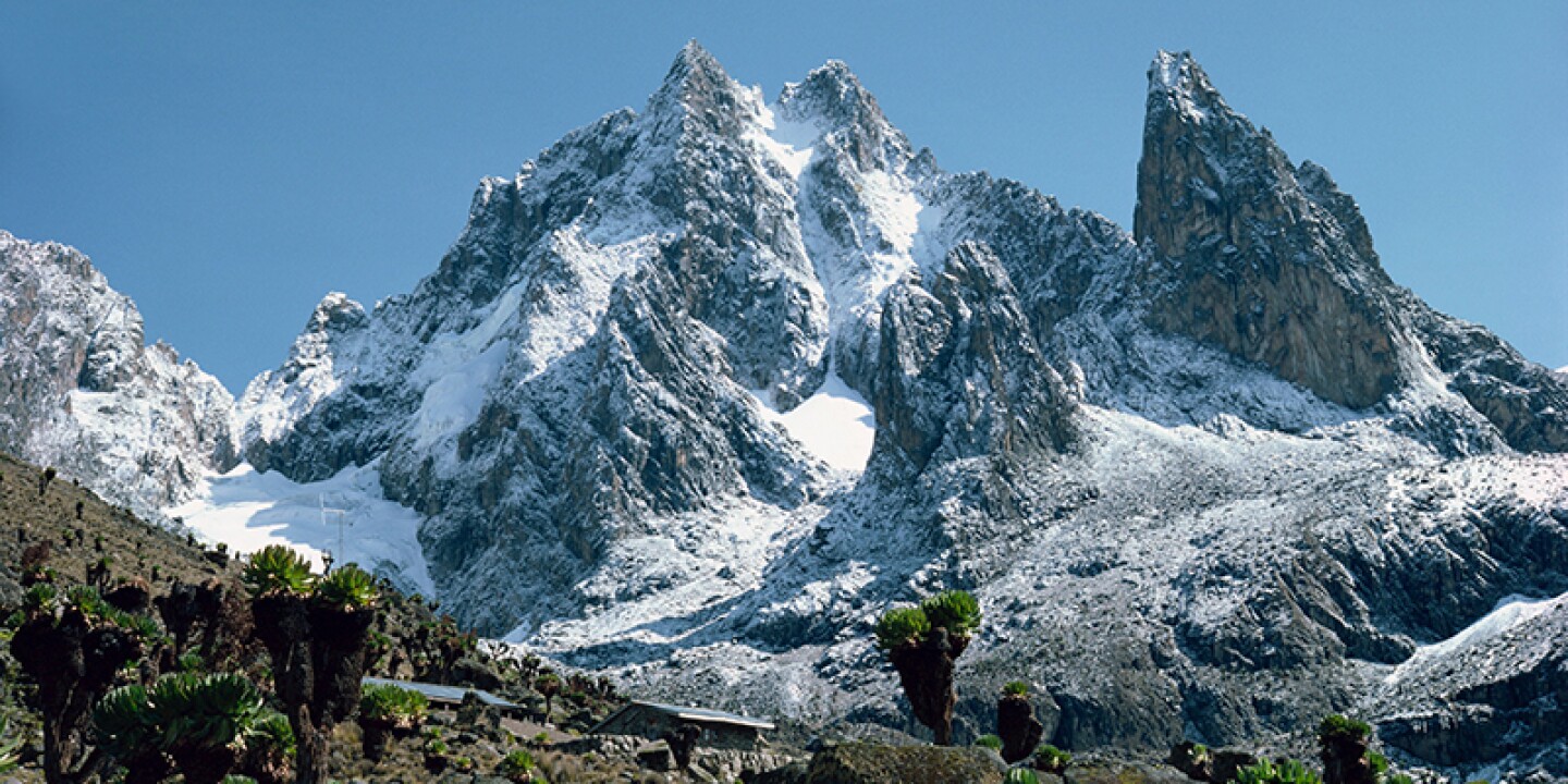 Snow-capped peaks of Mount Kenya above alpine vegetation